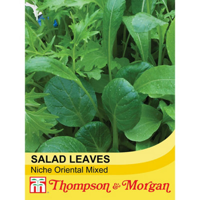 Thompson & Morgan Salad Leaves Niche Oriental Mixed 1 Seed Packet (500 Seeds) from B&Q