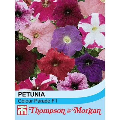 Thompson & Morgan Petunia Colour Parade Mixed F1 Hybrid 1 Seed Packet (100 Seeds) from B&Q