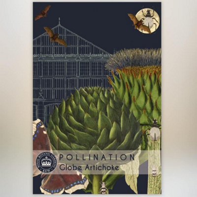Thompson & Morgan Artichoke Green Globe Improved 1 Seed Packet (40 Seeds) from B&Q