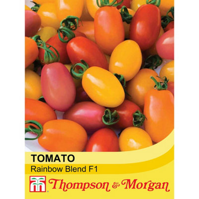 Thompson & Morgan Tomato Rainbow Blend F1 Hybrid 1 Seed Packet (5 Seeds) from B&Q