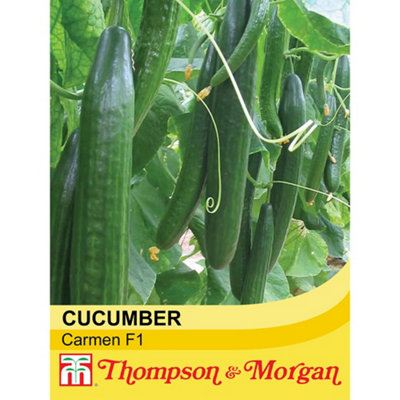 B&Q -  Cucumber Carmen F1 Hybrid 1 Seed Packet  (4 Seeds)
