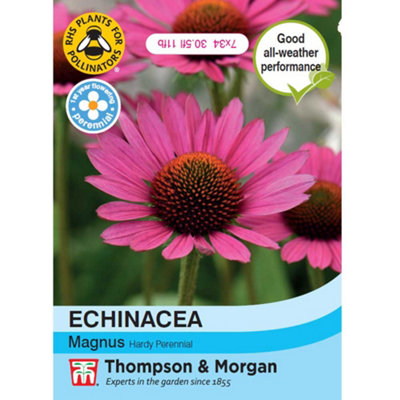 Thompson & Morgan Echinacea Purpurea Magnus 1 Seed Packet (25 Seeds) from B&Q