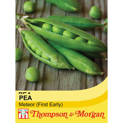 B&Q -  Pea Meteor 1 Seed Packet (250 Seeds)