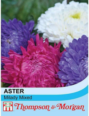 Thompson & Morgan Aster Milady Mixed 1 Seed Packet (150 Seeds) from B&Q