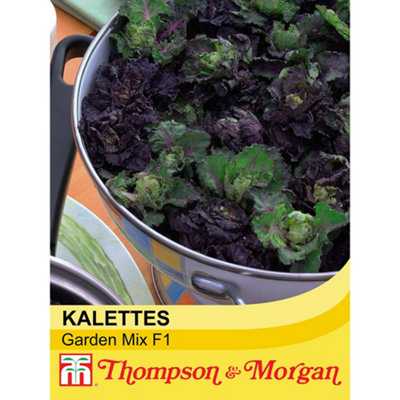 Thompson & Morgan Kalettes Garden Mix F1 1 Seed Packet (20 Seeds)