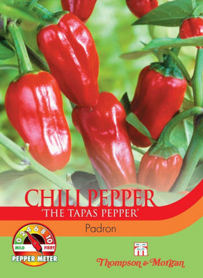 Thompson & Morgan Chilli Pepper Padron 1 Seed Packet (10 Seeds) from B&Q