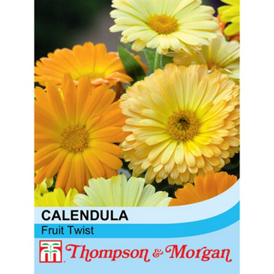 Thompson & Morgan Calendula Fruit Twist 1 Seed Packet (60 Seeds) from B&Q
