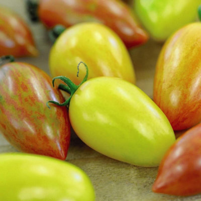 Thompson & Morgan Tomato Artisan Mix 1 Seed Packet from B&Q