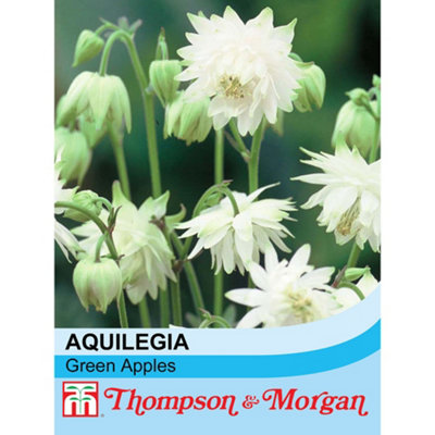 Thompson & Morgan Aquilegia X Hybrida Apples 1 Seed Packet (20 Seeds) Green