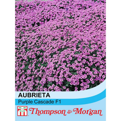 Thompson & Morgan Aubrieta Purple Cascade F1 Hybrid 1 Packet (150 Seeds) from B&Q