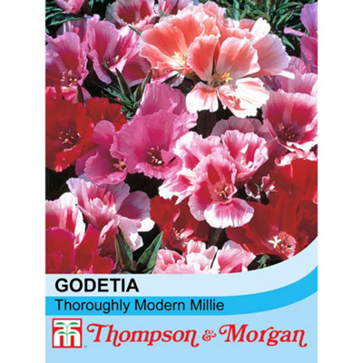 Thompson & Morgan Godetia Thoroughly Modern Millie 1 Seed Packet from B&Q