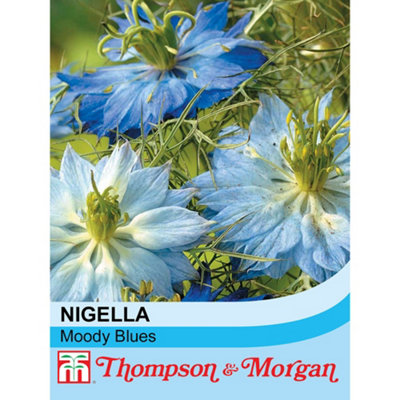 Thompson & Morgan Nigella Damascena Moody Blues 1 Seed Packet (200 Seeds) from B&Q