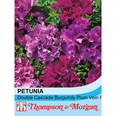 Thompson & Morgan Petunia Double Cascade Burgundy & Plum 1 Seed Packet  (25 Seeds) from B&Q