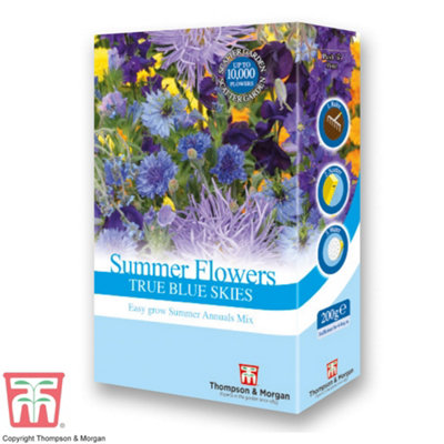 Thompson & Morgan Scatter Seed Pack Summer Flowers Colour Theme Blue 1 Pack (200G . 15G Of Seed) from B&Q