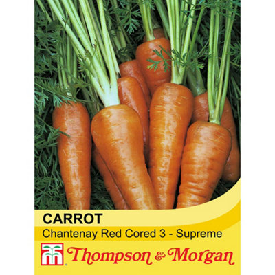 Thompson & Morgan Red Carrot Chantenay Co Supreme 1 Seed Packet (1500 Seeds) Size 3