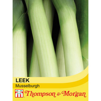 Thompson & Morgan Leek Musselburgh 1 Seed Packet (350 Seeds) from B&Q
