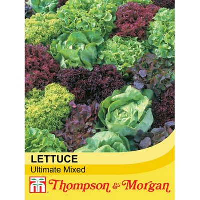 B&Q -  Lettuce Ultimate Mixed 1 Seed Packet (200 Lettuce Seeds)
