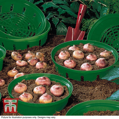 Thompson & Morgan Flower Bulb Planting Baskets10 Pack from B&Q