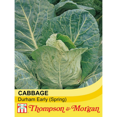 Thompson & Morgan Cabbage Durham Early Seed Packet (300 Seeds) Size 1