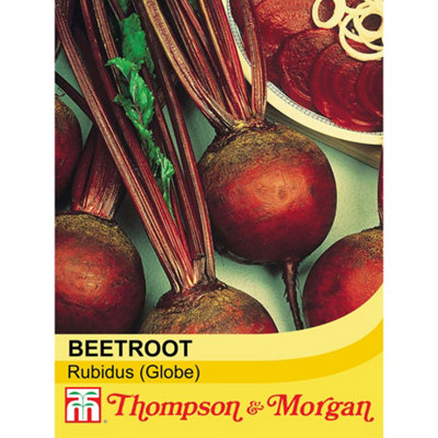 B&Q -  Beetroot Detroit 6 Rubidus 1 Seed Packet (200 Seeds)