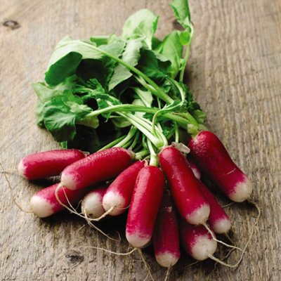 B&Q -  Radish Flamboyant 3 1 Seed Packet