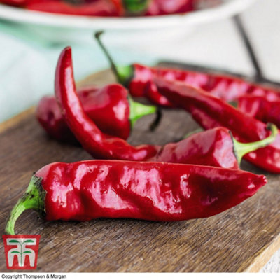 B&Q -  Chilli Pepper Anaheim 1 Seed Packet (20 Seeds)