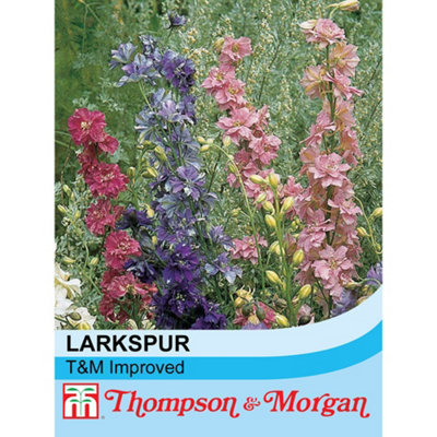 Thompson & Morgan Larkspur T&m Improved Mixed 1 Seed Packet (400 Seeds) from B&Q