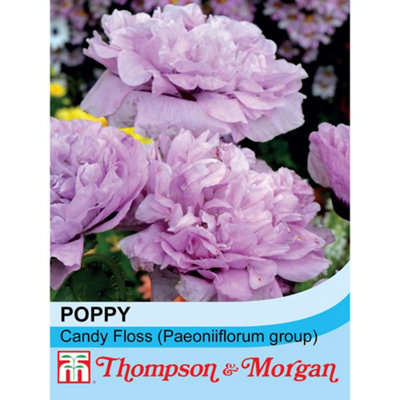 B&Q -  Poppy Candy Floss (Paeoniiflorum Group) 1 Packet (250 Seeds)