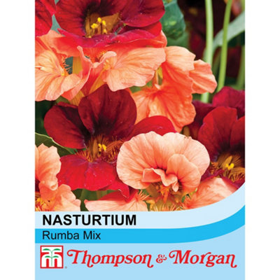Thompson & Morgan Nasturtium Rumba Mixed 1 Seed Packet (30 Seeds) from B&Q