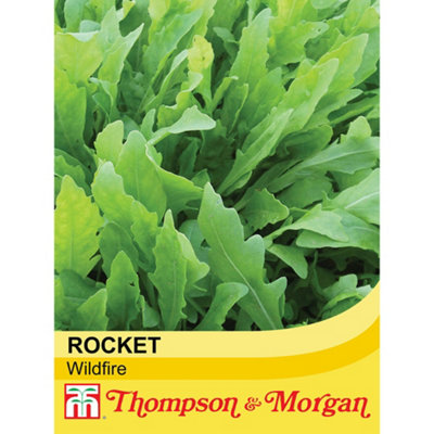 Thompson & Morgan Salad Leaves Rocket Wildfire 1 Seed Packet (500 Seeds) from B&Q