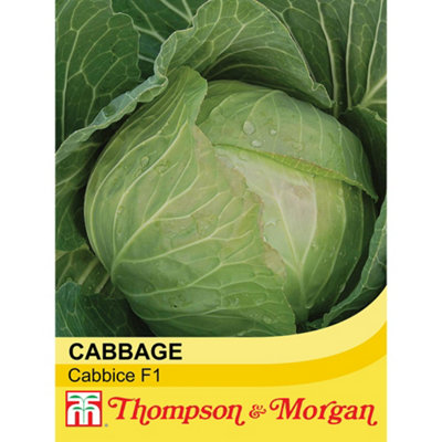 Thompson & Morgan Cabbage Cabbice F1 1 Seed Packet (30 Seeds) White