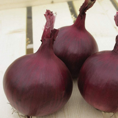 Thompson & Morgan Onion Herald 1 Seed Packet Red