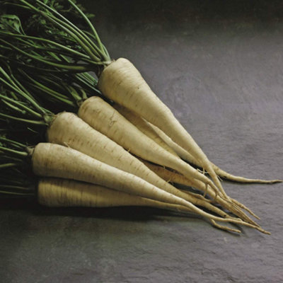 Thompson & Morgan Parsley Hamburg Arat 1 Seed Packet from B&Q