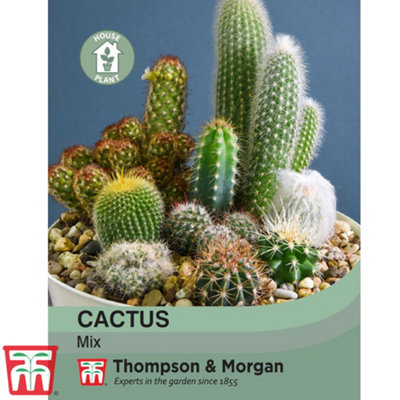 Thompson & Morgan Cactus Mix 1 Seed Packet (20 Seeds) from B&Q