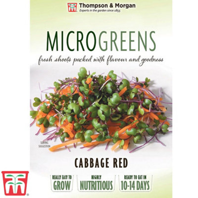 Thompson & Morgan Microgreens Cabbage Red 1 Seed Packet (300 Seeds) from B&Q
