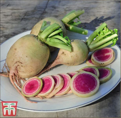 B&Q -  Radish Misato Rose Flesh 1 Seed Packet