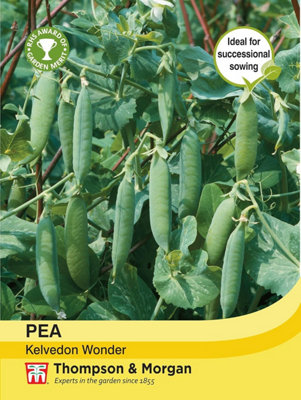 Thompson & Morgan Pea Kelvedon Wonder 1 Seed Packet (250 Seeds)