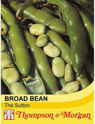 Thompson & Morgan Broad Bean The Sutton 1 Seed Packet (30 Seeds) from B&Q