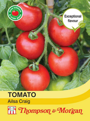 Thompson & Morgan Tomato Ailsa Craig 1 Seed Packet (75 Seeds) Red