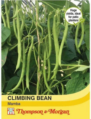 Thompson & Morgan Bean Climbing Mamba 1 Seed Packet (45 Seeds) from B&Q