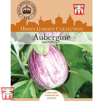 Thompson & Morgan - Aubergine Pinstripe Seeds - Vegetable Seeds - Image 3