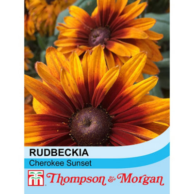 Thompson & Morgan Rudbeckia Cherokee Sunset 1 Packet (40 Seeds) from B&Q