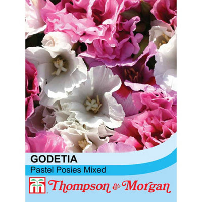 Thompson & Morgan Pink Godetia Pastel Posies Mixed Seed Packet (125 Seeds) Size 1