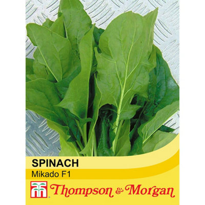 Thompson & Morgan Spinach Mikado F1 Hybrid 1 Seed Packet from B&Q
