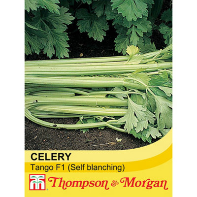 Thompson & Morgan Celery Tango F1 Hybrid 1 Seed Packet (75 Seeds) from B&Q