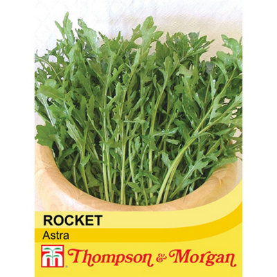 Thompson & Morgan Salad Leaves Rocket Astra 1 Seed Packet (400 Seeds) from B&Q