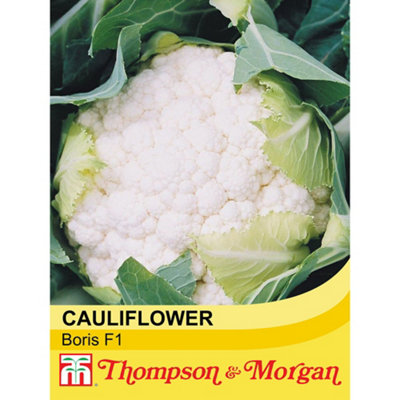 Thompson & Morgan Cauliflower Boris F1 Hybrid 1 Seed Packet (15 Seeds) from B&Q