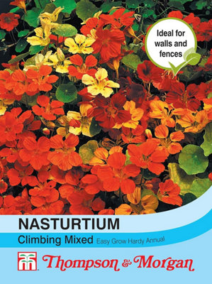 Thompson & Morgan Nasturtium Climbing Mixed 1 Seed Packet (20 Seeds) from B&Q