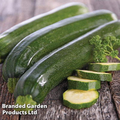 B&Q -  Courgette (Zucchini) 1 Packet (25 Seeds)
