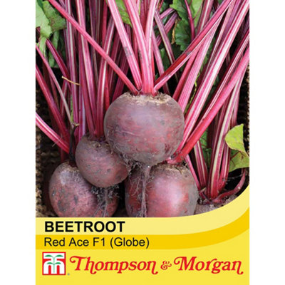 Thompson & Morgan Beetroot Red Ace F1 Hybrid 1 Seed Packet (150 Seeds) from B&Q